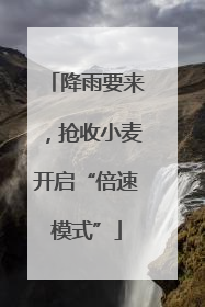 降雨要来，抢收小麦开启“倍速模式”