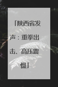 陕西省发声：重拳出击、高压震慑
