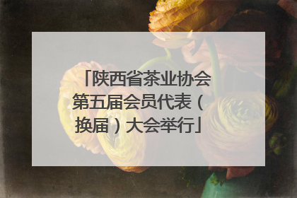陕西省茶业协会第五届会员代表（换届）大会举行