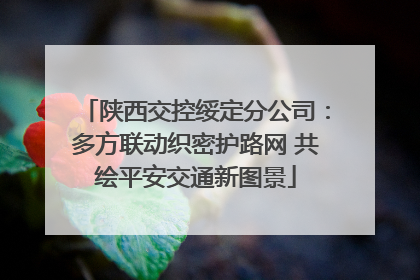 陕西交控绥定分公司：多方联动织密护路网 共绘平安交通新图景