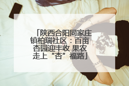 陕西合阳同家庄镇柏瑞社区：百亩杏园迎丰收 果农走上“杏”福路