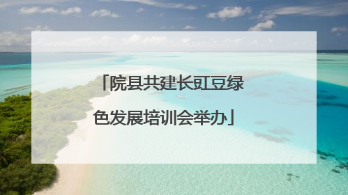 院县共建长豇豆绿色发展培训会举办