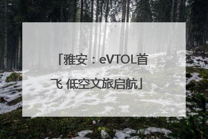 雅安：eVTOL首飞 低空文旅启航