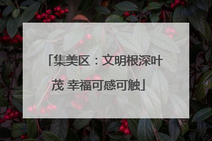 集美区：文明根深叶茂 幸福可感可触