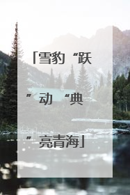 雪豹“跃”动 “典”亮青海
