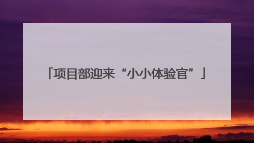 项目部迎来“小小体验官”