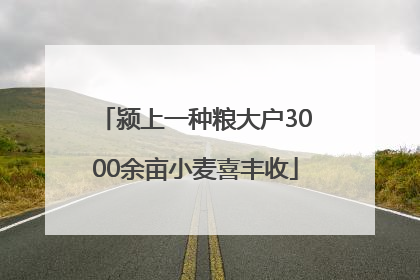颍上一种粮大户3000余亩小麦喜丰收