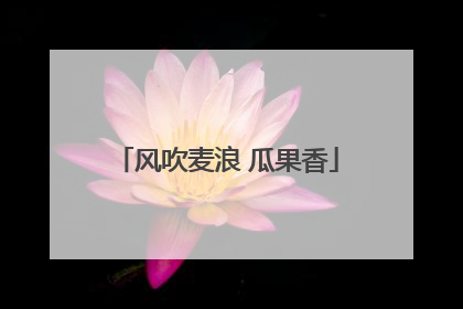 风吹麦浪 瓜果香