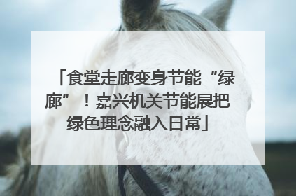 食堂走廊变身节能“绿廊”！嘉兴机关节能展把绿色理念融入日常