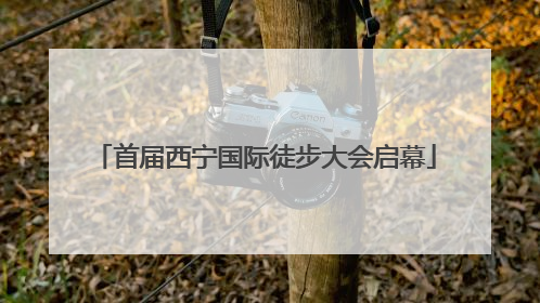 首届西宁国际徒步大会启幕