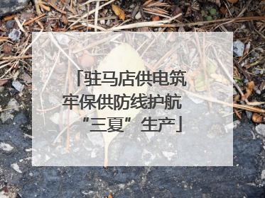 驻马店供电筑牢保供防线护航“三夏”生产