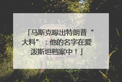 马斯克曝出特朗普“大料”：他的名字在爱泼斯坦档案中！