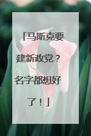 马斯克要建新政党？名字都想好了！