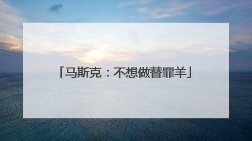 马斯克：不想做替罪羊
