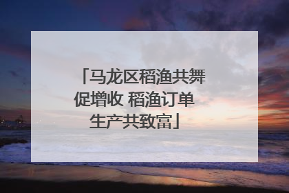 马龙区稻渔共舞促增收 稻渔订单生产共致富