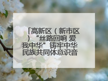 高新区（新市区）“丝路回响 爱我中华”铸牢中华民族共同体意识音乐会启幕