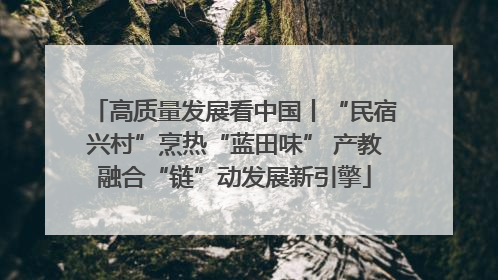 高质量发展看中国丨“民宿兴村”烹热“蓝田味” 产教融合“链”动发展新引擎