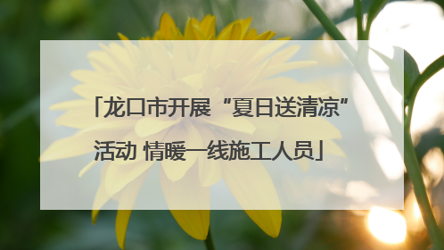 龙口市开展“夏日送清凉”活动 情暖一线施工人员