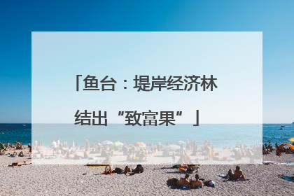 鱼台：堤岸经济林结出“致富果”