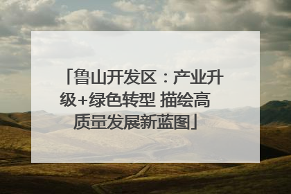 鲁山开发区：产业升级+绿色转型 描绘高质量发展新蓝图