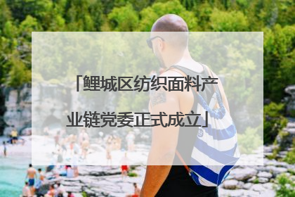 鲤城区纺织面料产业链党委正式成立