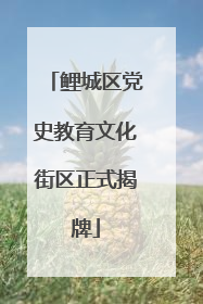 鲤城区党史教育文化街区正式揭牌