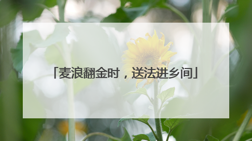 麦浪翻金时，送法进乡间