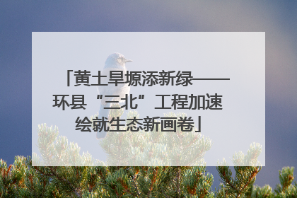 黄土旱塬添新绿——环县“三北”工程加速绘就生态新画卷