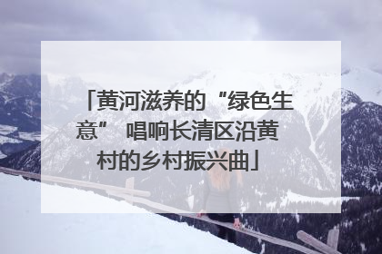 黄河滋养的“绿色生意” 唱响长清区沿黄村的乡村振兴曲