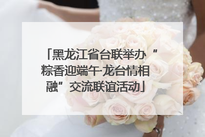 黑龙江省台联举办“粽香迎端午·龙台情相融”交流联谊活动