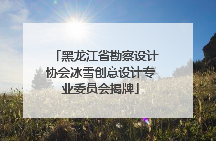 黑龙江省勘察设计协会冰雪创意设计专业委员会揭牌