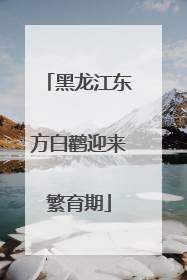 黑龙江东方白鹳迎来繁育期