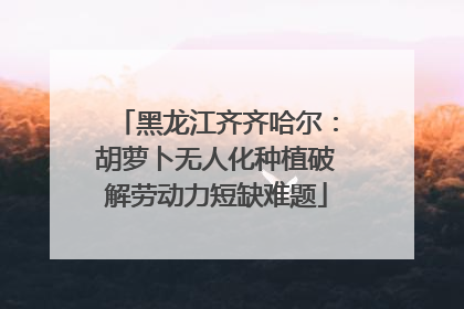 黑龙江齐齐哈尔：胡萝卜无人化种植破解劳动力短缺难题