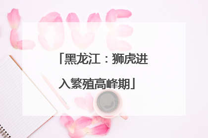 黑龙江：狮虎进入繁殖高峰期