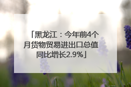 黑龙江：今年前4个月货物贸易进出口总值同比增长2.9%