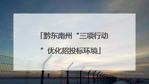 黔东南州“三项行动”优化招投标环境