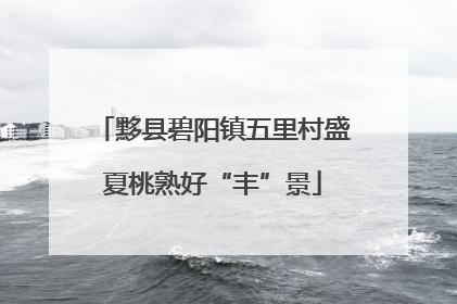 黟县碧阳镇五里村盛夏桃熟好“丰”景