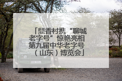 鼎香村携“聊城老字号”惊艳亮相第九届中华老字号（山东）博览会
