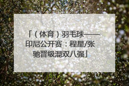 （体育）羽毛球——印尼公开赛：程星/张驰晋级混双八强