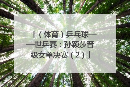 （体育）乒乓球——世乒赛：孙颖莎晋级女单决赛（2）