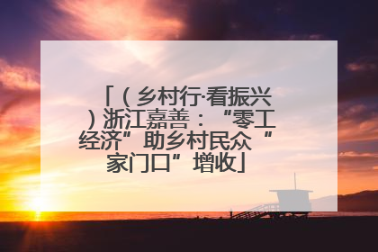 （乡村行·看振兴）浙江嘉善：“零工经济”助乡村民众“家门口”增收