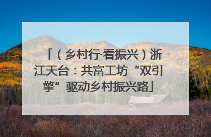 （乡村行·看振兴）浙江天台：共富工坊“双引擎”驱动乡村振兴路
