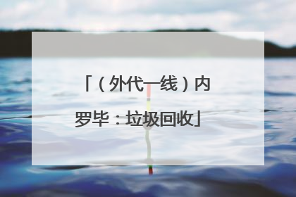 （外代一线）内罗毕：垃圾回收
