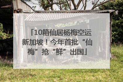 10箱仙居杨梅空运新加坡！今年首批“仙梅”抢“鲜”出国