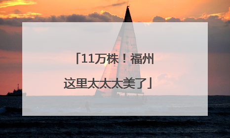 11万株！福州这里太太太美了