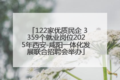 122家优质民企 3359个就业岗位2025年西安-咸阳一体化发展联合招聘会举办