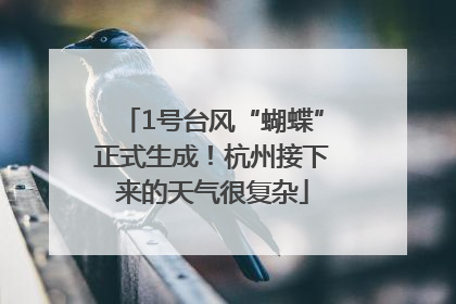 1号台风“蝴蝶”正式生成！杭州接下来的天气很复杂