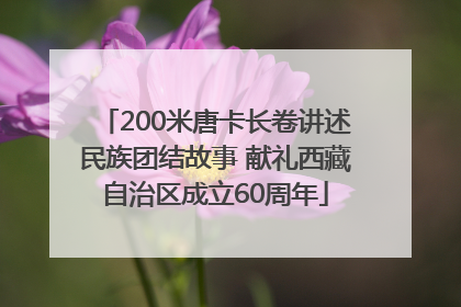 200米唐卡长卷讲述民族团结故事 献礼西藏自治区成立60周年