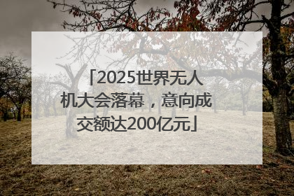 2025世界无人机大会落幕，意向成交额达200亿元