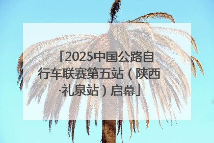 2025中国公路自行车联赛第五站（陕西·礼泉站）启幕